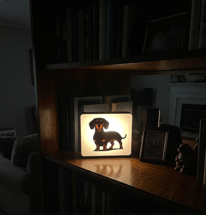 Black&Tan Dachshund Lightbox