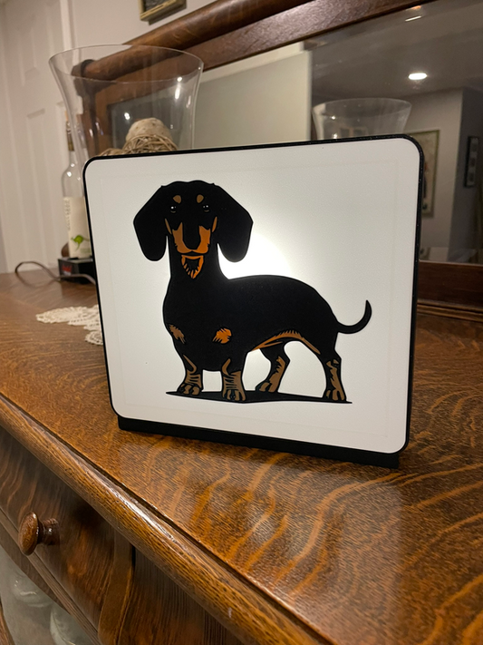 Black&Tan Dachshund Lightbox